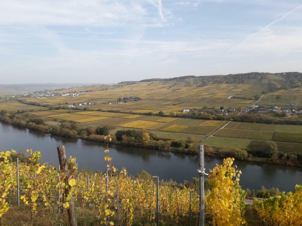 Weingut Johanneshof Minheim Ngoại thất bức ảnh