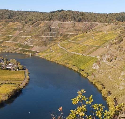 Weingut Johanneshof Minheim Ngoại thất bức ảnh