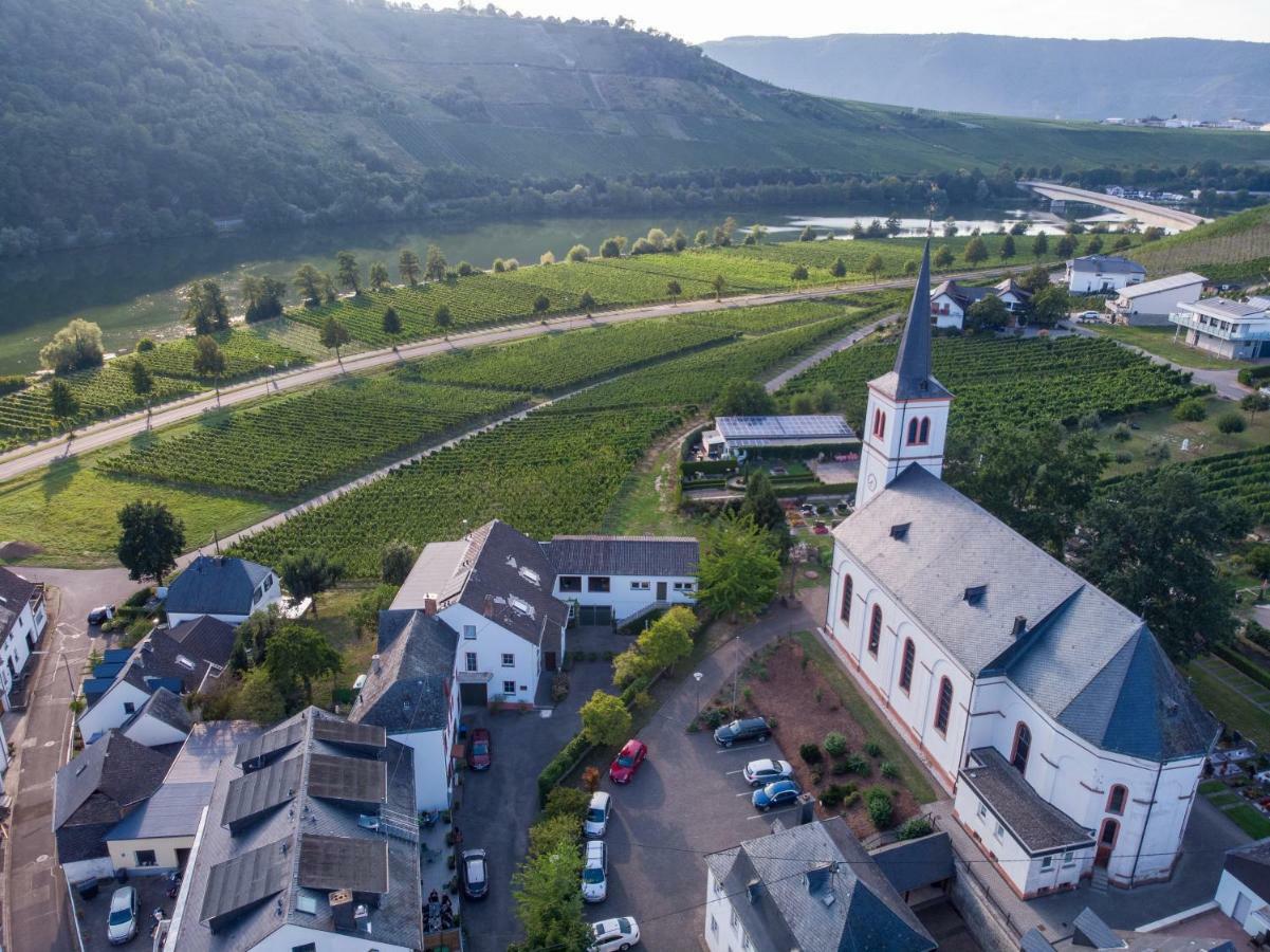 Weingut Johanneshof Minheim Ngoại thất bức ảnh