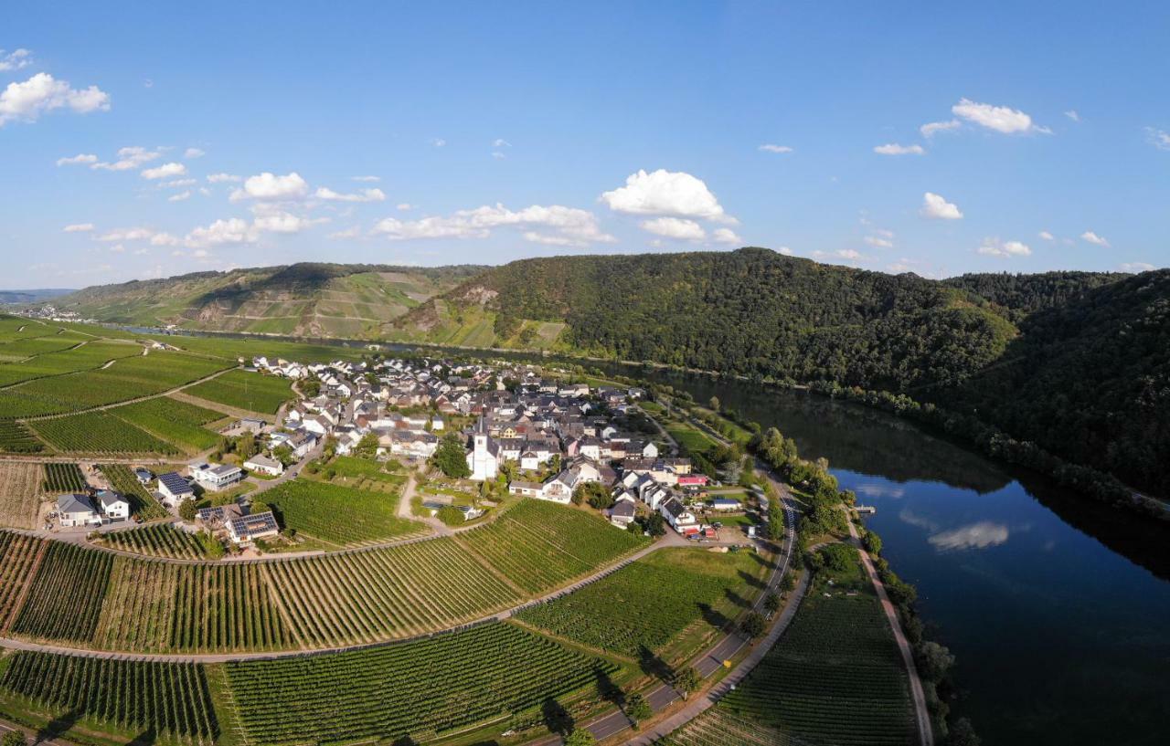 Weingut Johanneshof Minheim Ngoại thất bức ảnh
