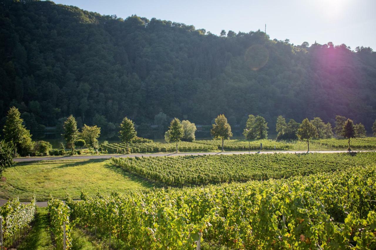 Weingut Johanneshof Minheim Ngoại thất bức ảnh